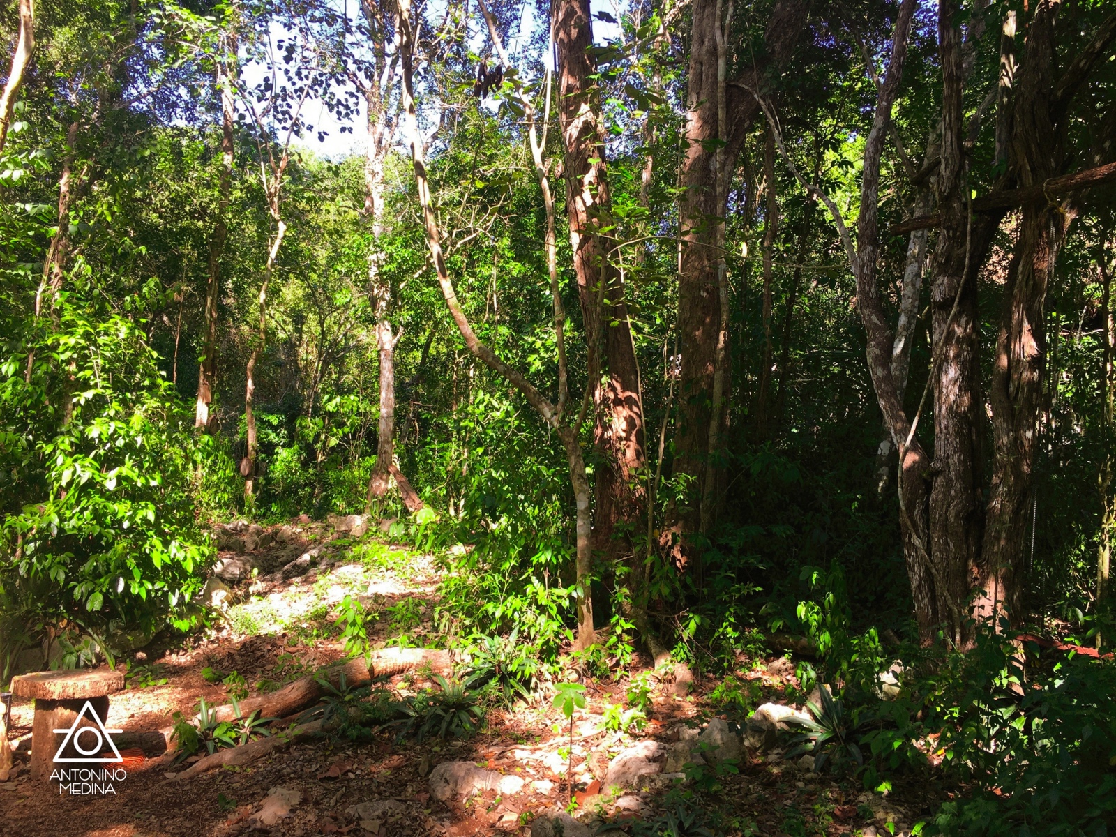 41 IMG 7491